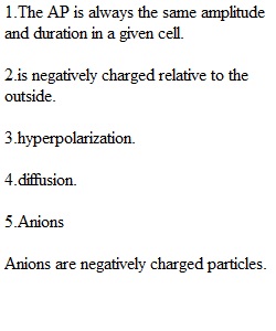 Quiz 2